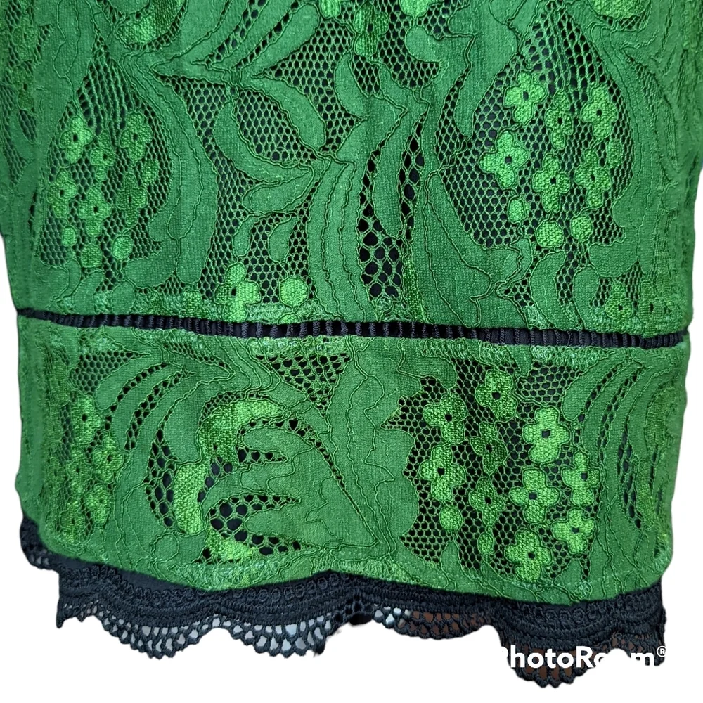 Anthropologie Adelyn Rae Green Lace Sheath Dress Flutter Sleeve Size S - Picture 8 of 11